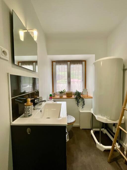 Le Refuge de Antoine, entre pistes et centre-ville - Appartement 2 Chambres - 22