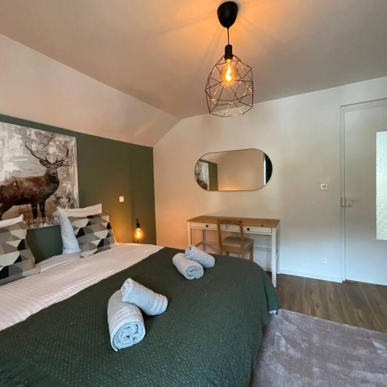 Le Refuge de Antoine, entre pistes et centre-ville - Appartement 2 Chambres - 12