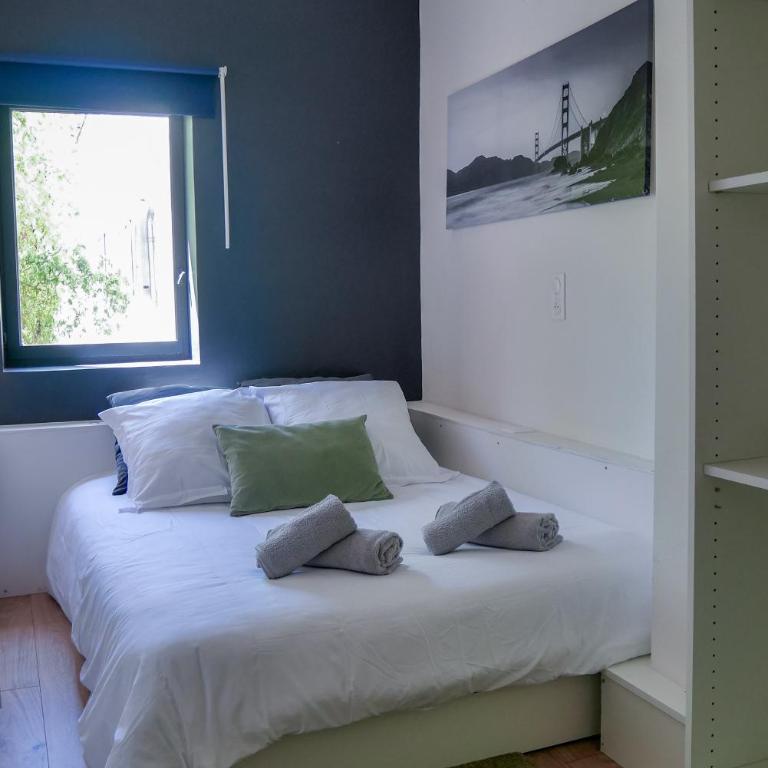 Le Bazacle - Sublime Logement en Hypercentre - Appartement 1 Chambre - 3