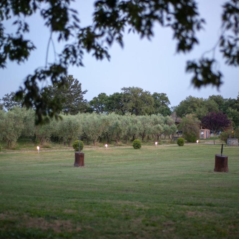 Borgo Podernovo - Appartamento con 1 Camera da Letto - 2