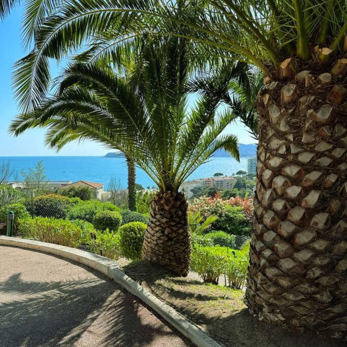 Villa Francia Cannes - Appartement 1 Chambre - 11