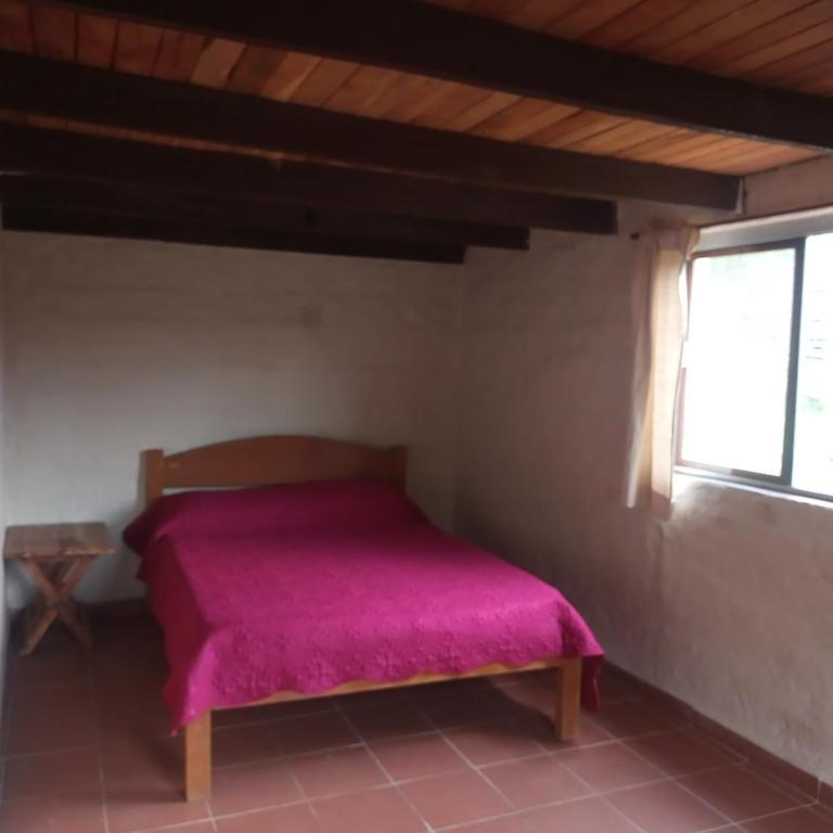 Casa Loto - Casa de 2 dormitorios - 5