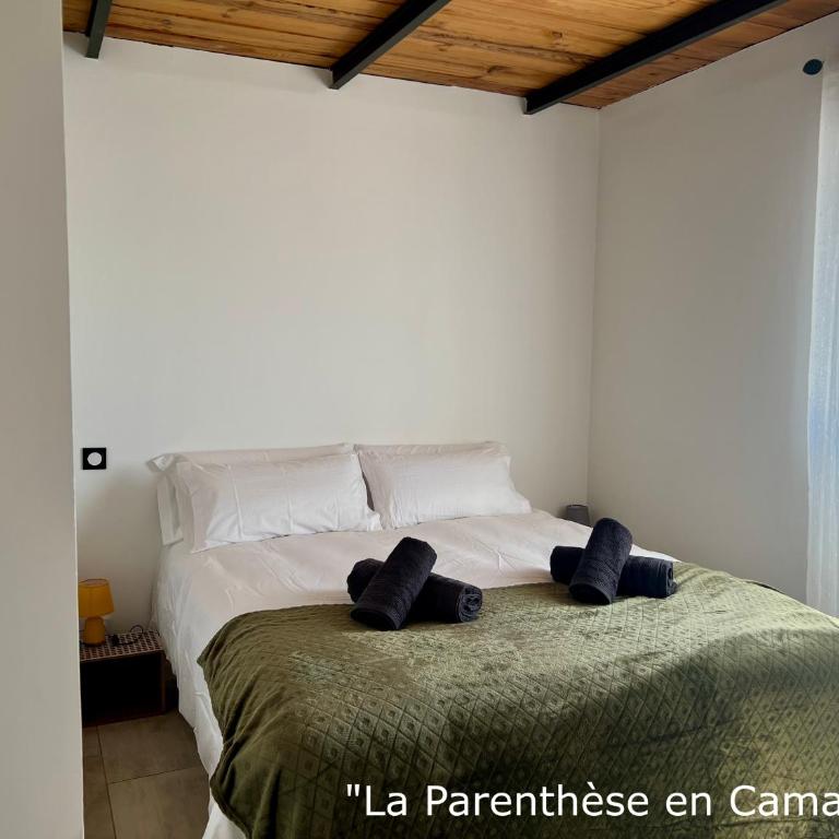 La Parenthèse en Camargue - 120m2 plain-pied - Haus mit 2 Schlafzimmern - 11