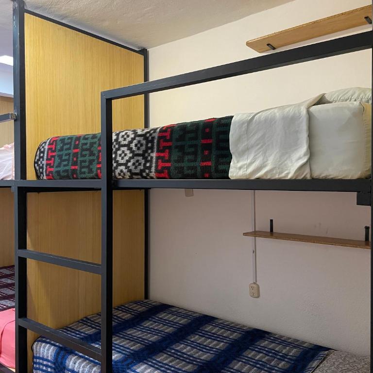 Hostal La Isla - Bed in 4-Bed Mixed Dormitory Room - 3