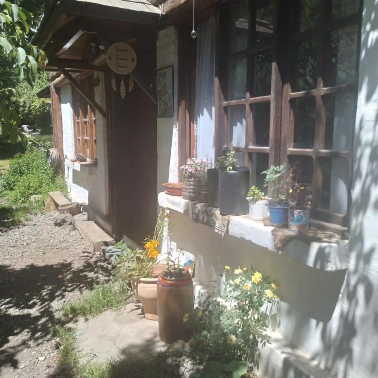 Cabaña las florcitas - Apartamento de 2 dormitorios - 1