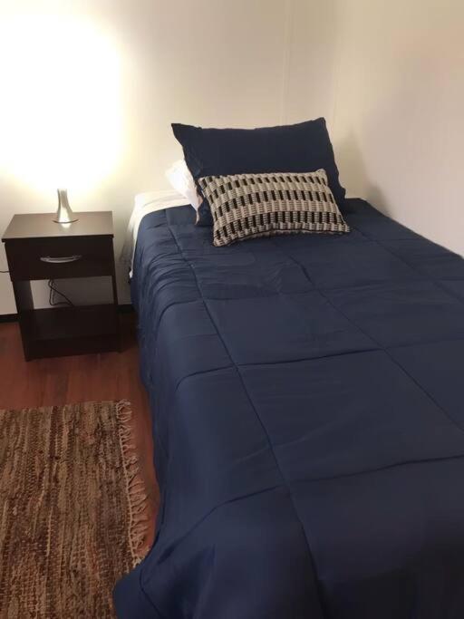 Casa Loica - Austral - Three-Bedroom House - 15