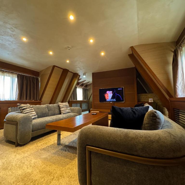 Vip Apartments Kopaonik - Deluxe Apartment - 10