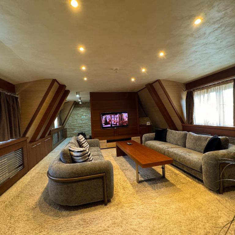 Vip Apartments Kopaonik - Deluxe Apartment - 2