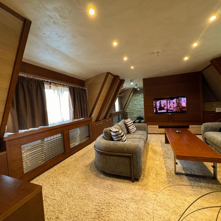 Vip Apartments Kopaonik - Deluxe Apartment - 11