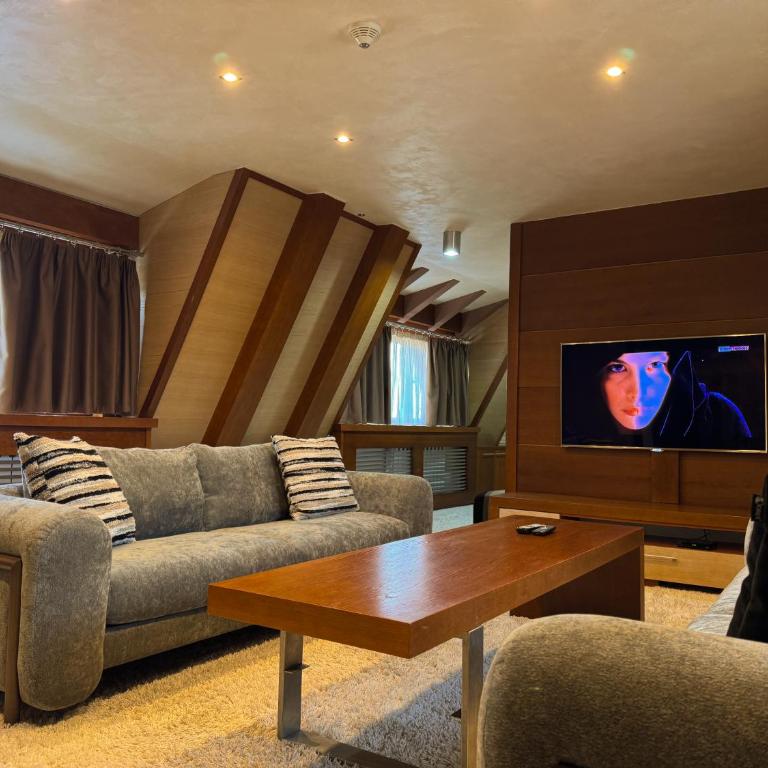 Vip Apartments Kopaonik - Deluxe Apartment - 14