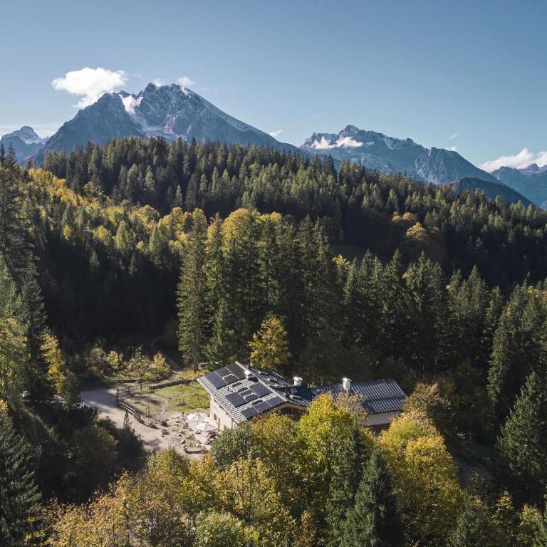 Alpeltalhütte - Apartment - Erdgeschoss - 2