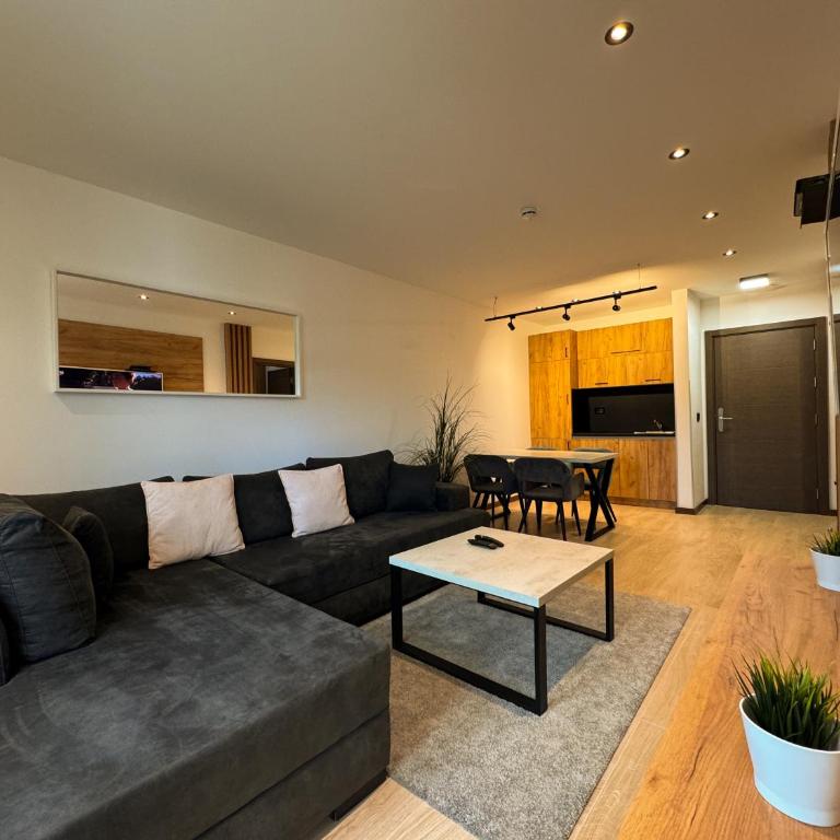 Vip Apartments Kopaonik - Apartment with Mountain View - 18