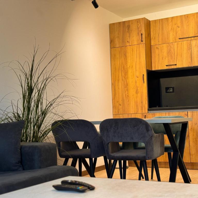 Vip Apartments Kopaonik - Apartment with Mountain View - 16