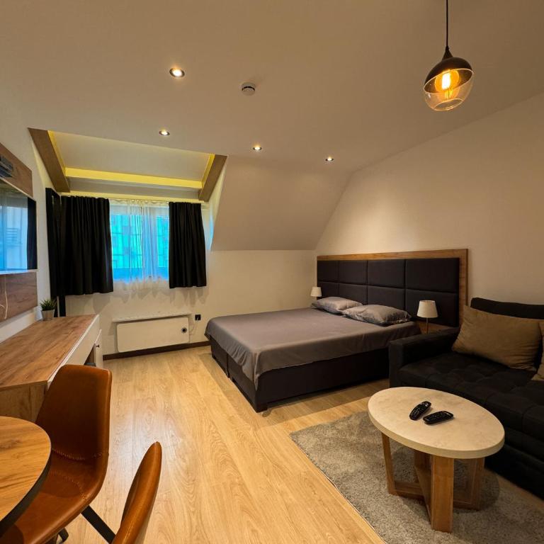 Vip Apartments Kopaonik - Deluxe Queen Studio - 9
