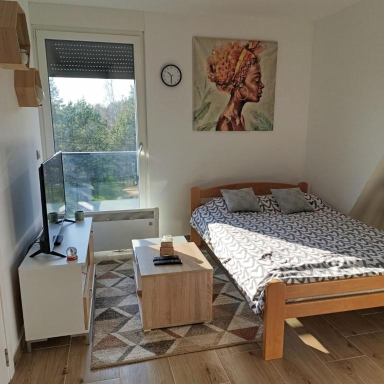 Apartmani Jezero Divčibare - Studio sa Balkonom - 12