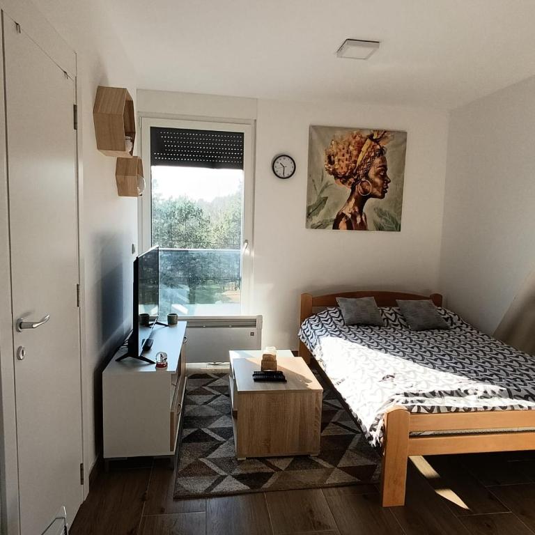 Apartmani Jezero Divčibare - Studio sa Balkonom - 11
