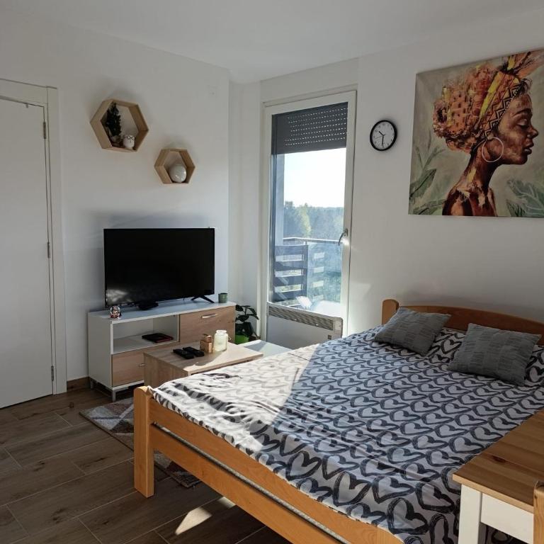 Apartmani Jezero Divčibare - Studio sa Balkonom - 10