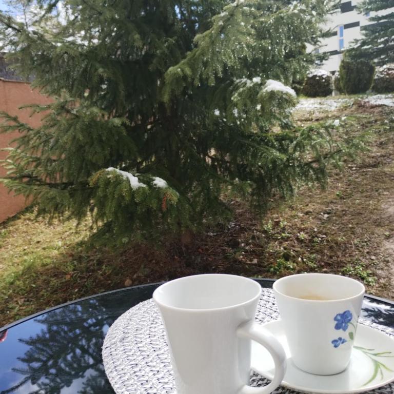 Apartman Šumski San - Apartman sa 1 Spavaćom Sobom - 21