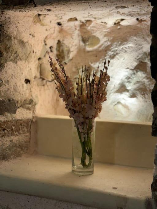 Studio Vieil Antibes rue du Bateau - One-Bedroom Apartment - 19