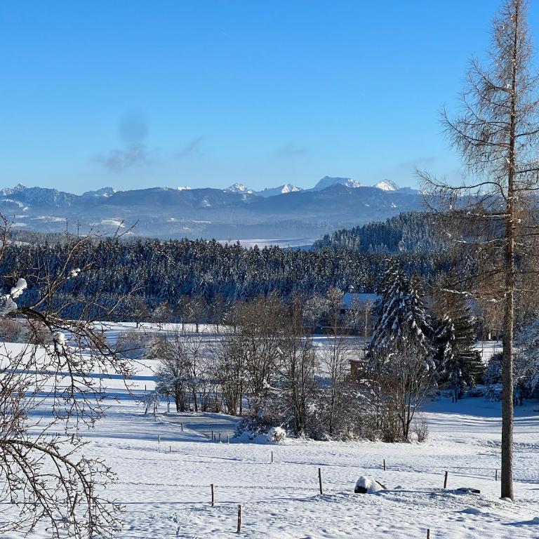 Kuh Heimat - Bergblick - Terrasse - Apartment mit 2 Schlafzimmern - 32