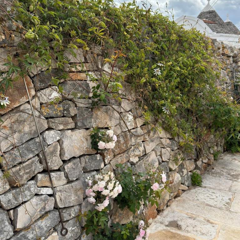 Trulli Resort Aia Piccola - Trullo con 3 Camere da Letto - 54