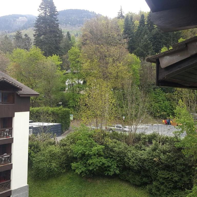 Studio dernier étage avec balcon, parking et WiFi, animaux admis - Studio - 14