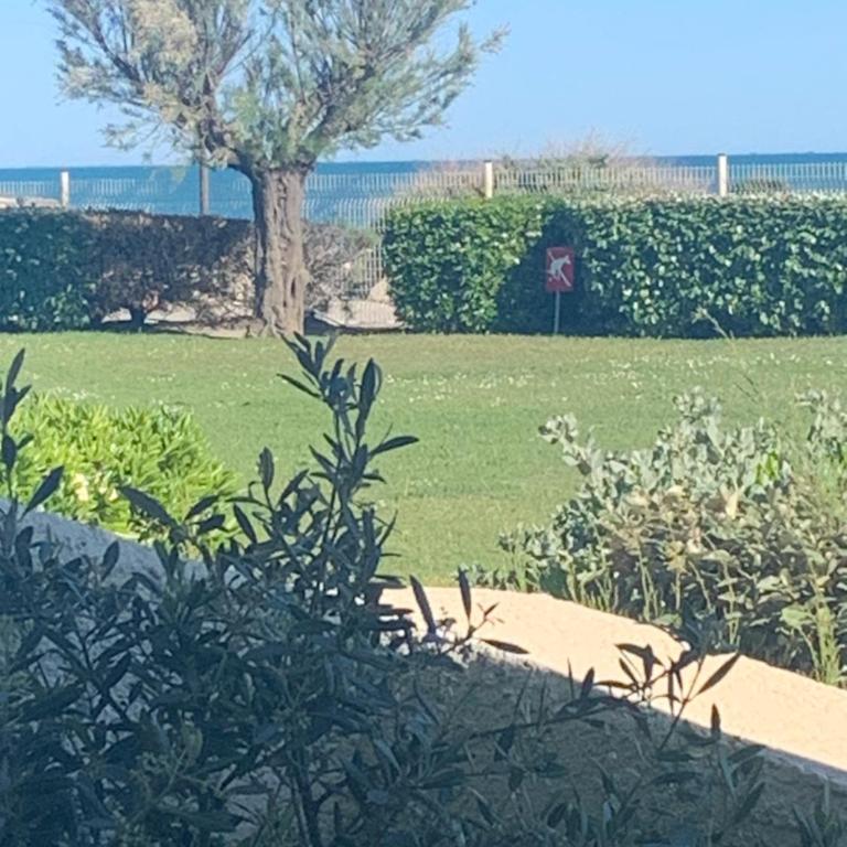 un rêve à la mer - Appartamento con 1 Camera da Letto - 32