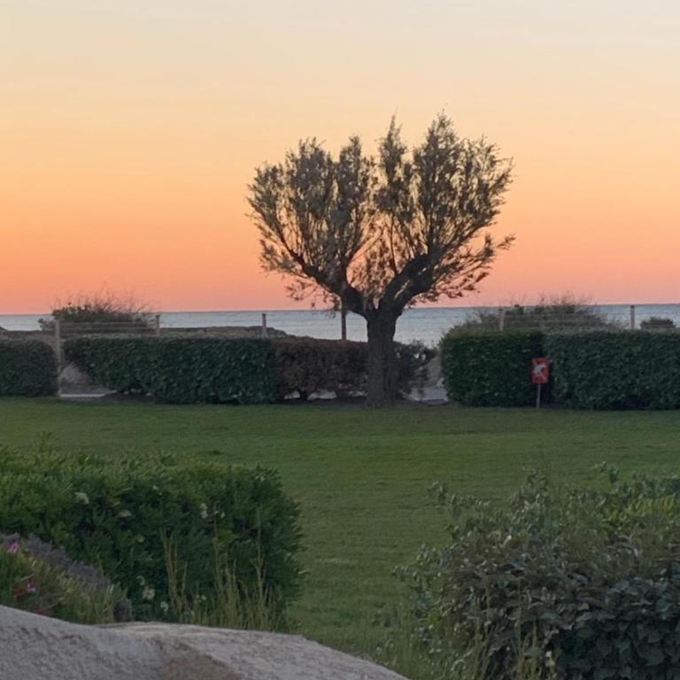 un rêve à la mer - Appartamento con 1 Camera da Letto - 33