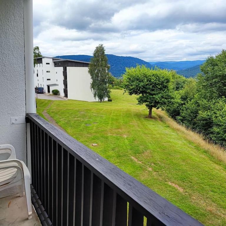 Le Seydrad, appartement vue nature, hauteurs de Gérardmer - Appartement 1 Chambre - 1