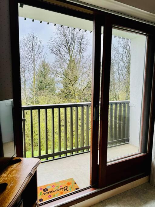 Le Seydrad, appartement vue nature, hauteurs de Gérardmer - Appartement 1 Chambre - 6