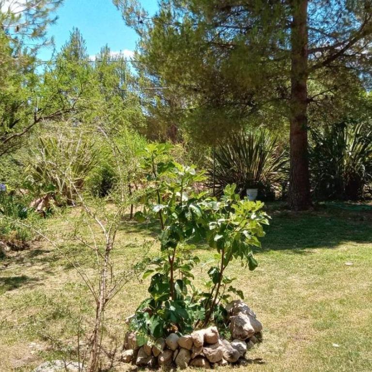 Al pie del cerro - One-Bedroom House - 9