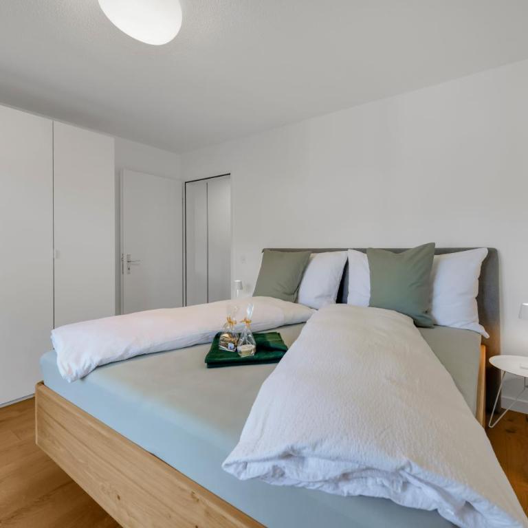 ASCONA VISTA VERDE Familienfreundliche Ferienwohnung mit sonnigem Balkon & Klimaanlage - Appartamento con 1 Camera da Letto - 5