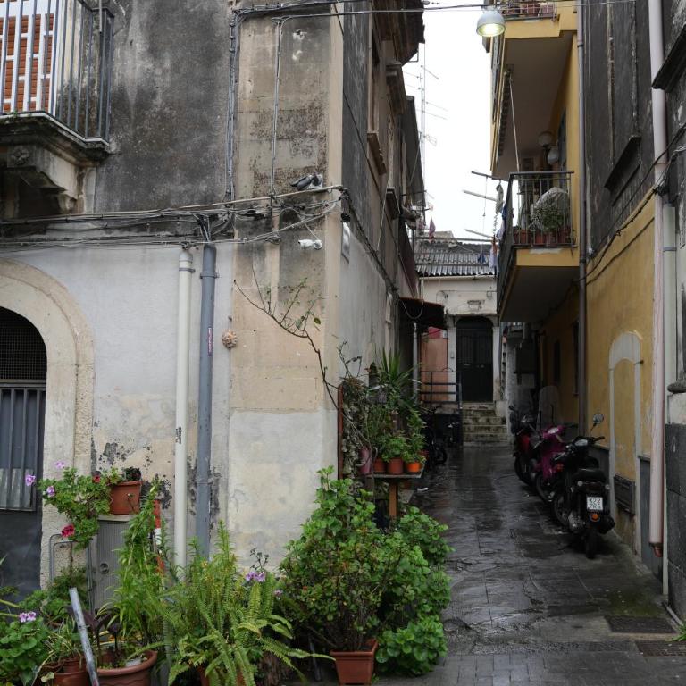 Al dolce risveglio - Vacation Home - 23