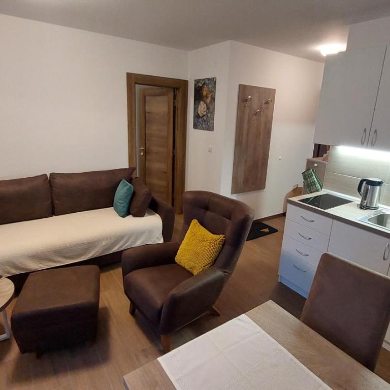 BOROVI 3 - Tartufo Bianco - Apartman s 1 Spavaćom Sobom i Terasom - 5