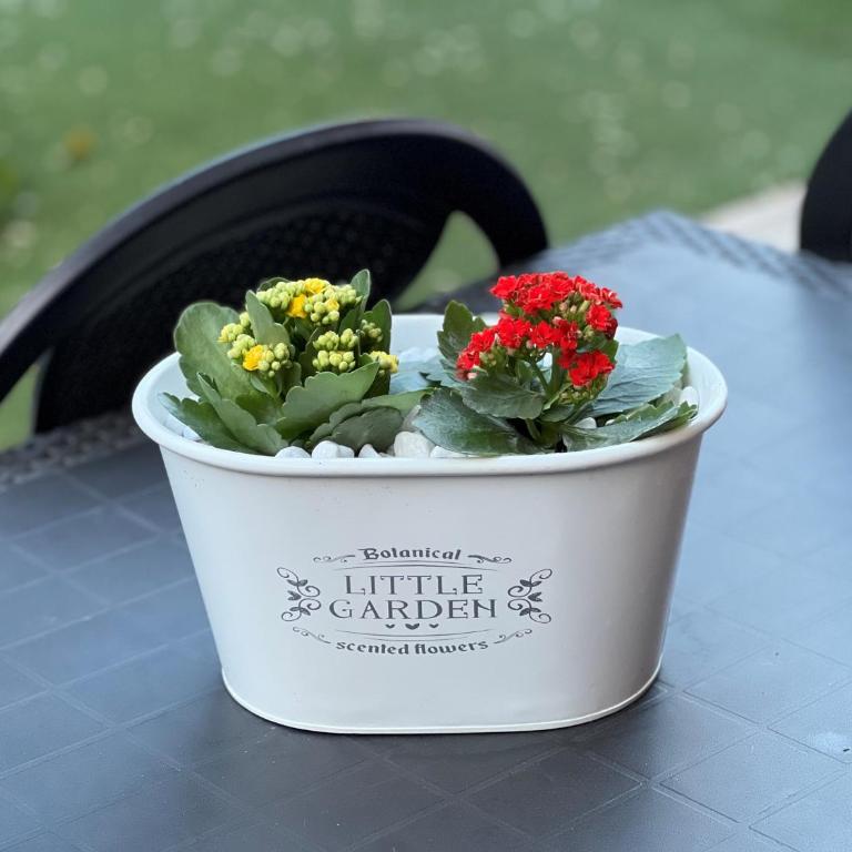 Casa Paestum. Your wonderful garden in Rome - Casa con 2 Camere da Letto - 11