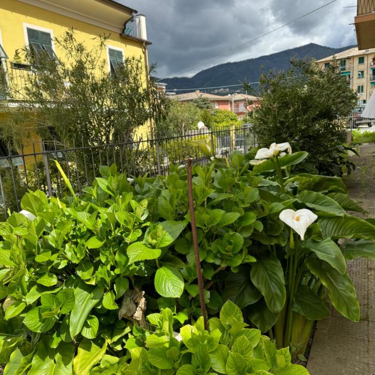 Appartamento Marilyn - Appartamento con 2 Camere da Letto - 21
