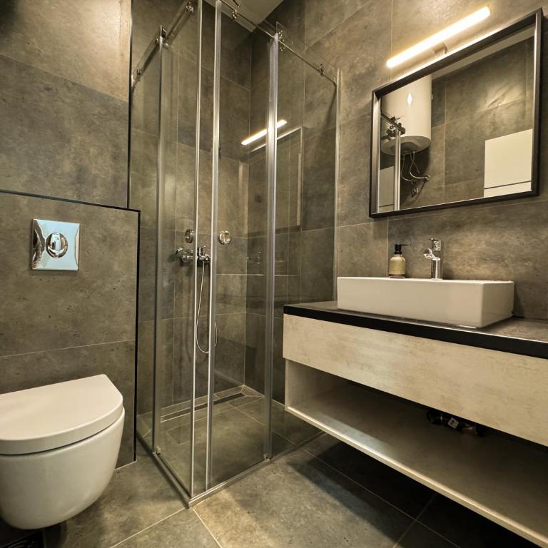 Vip Apartments Kopaonik - Deluxe King Studio - 1