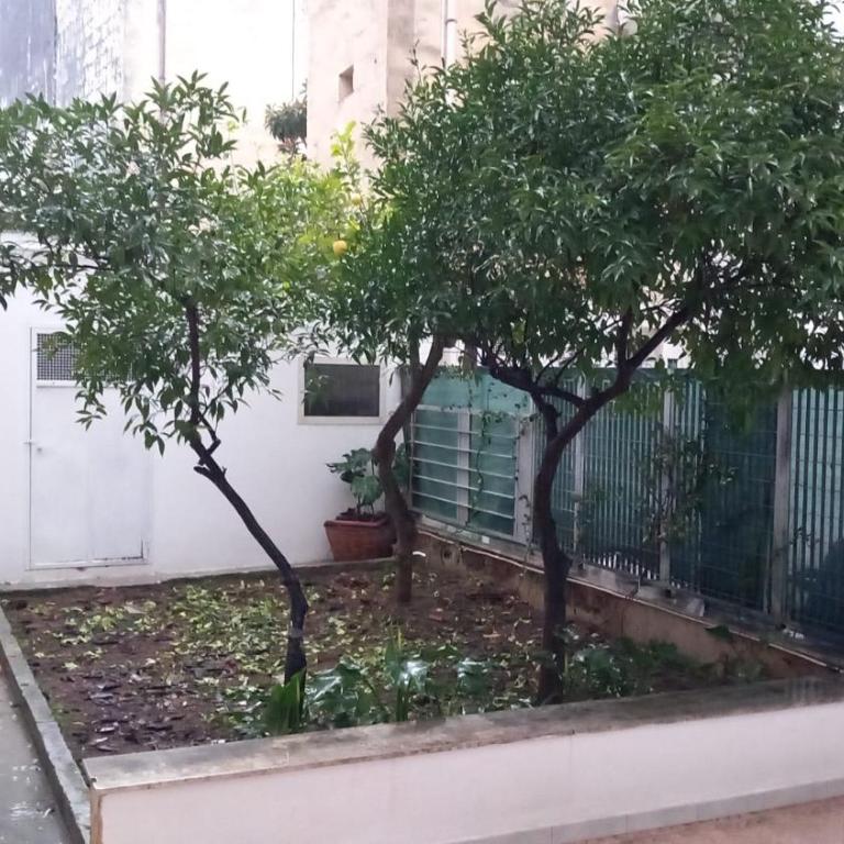 Centrale con giardino segreto - Casa con 1 Camera da Letto - 7
