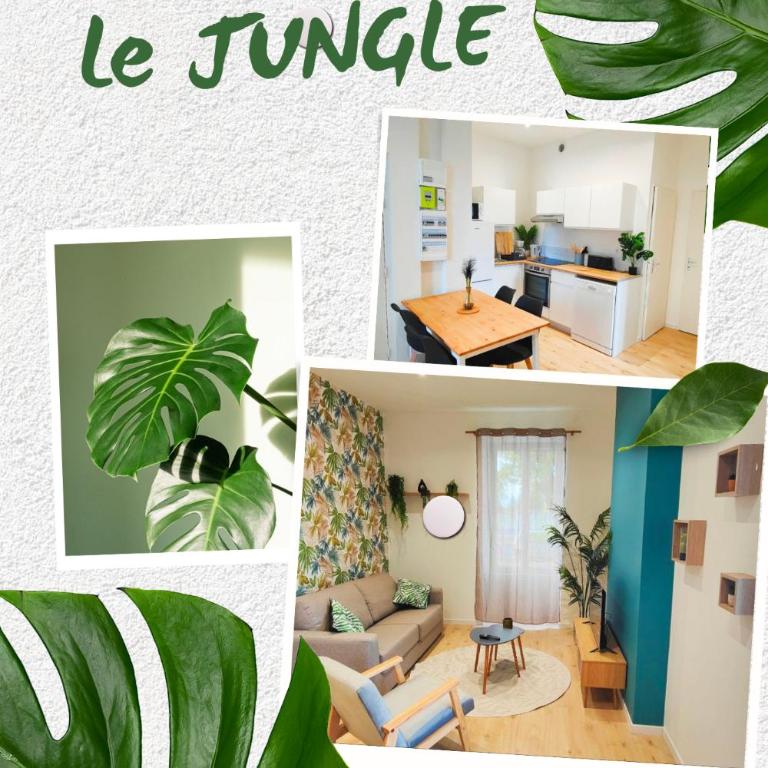 Appartements à thème - Appartement - Rez-de-Chaussée - 1