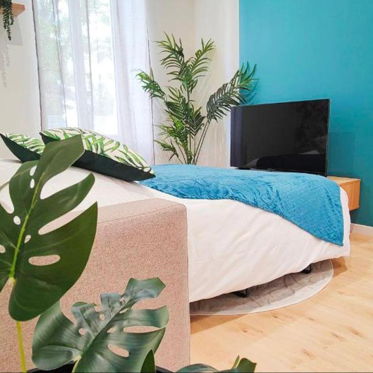 Appartements à thème - Appartement - Rez-de-Chaussée - 8