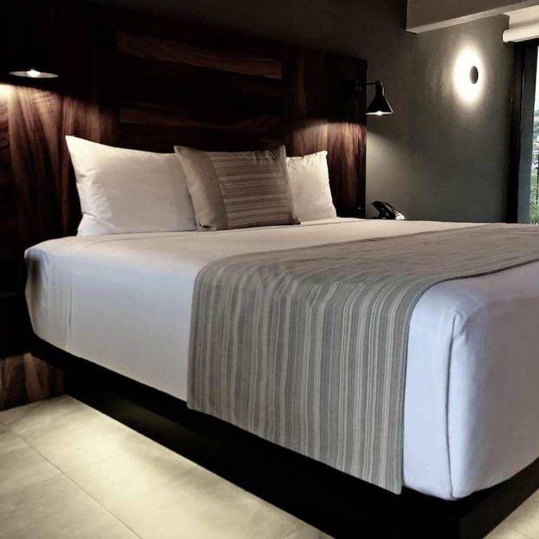 4 Charming Suite King Rooms in Luxurious Boutique Hotel - Suite - 1