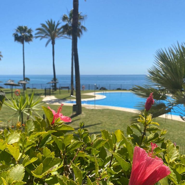 Frontline Beach ground floor with privet garden, Mi Capricho 16 - Apartamento de 2 dormitorios - 26