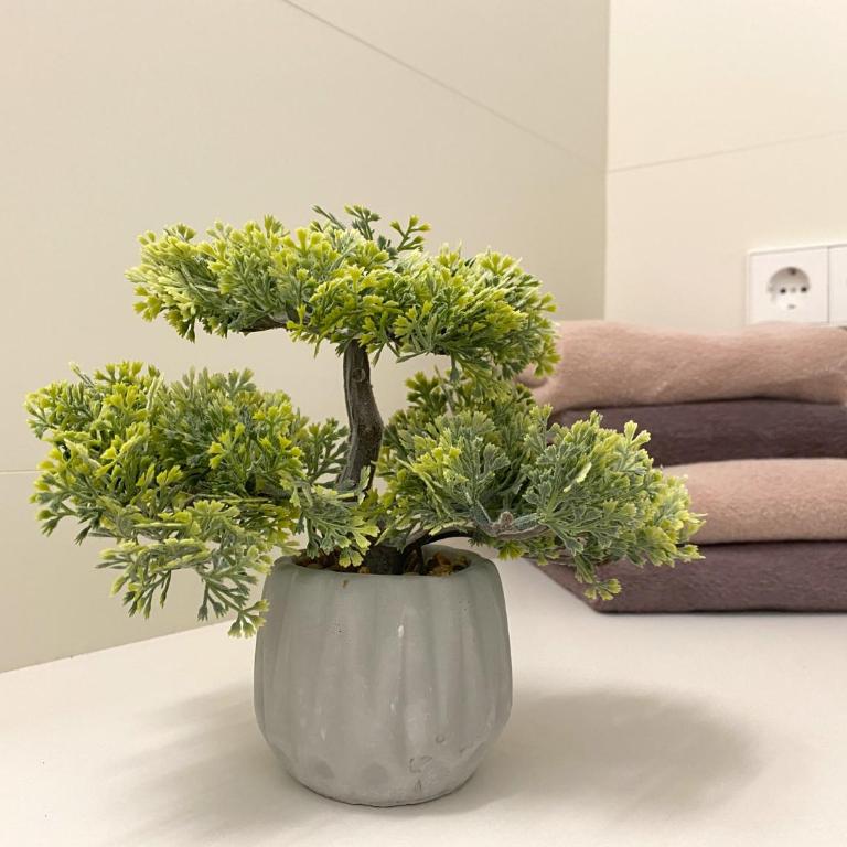 Impresionante apartamento con vistas a la piscina - Apartment - Ground Floor - 23