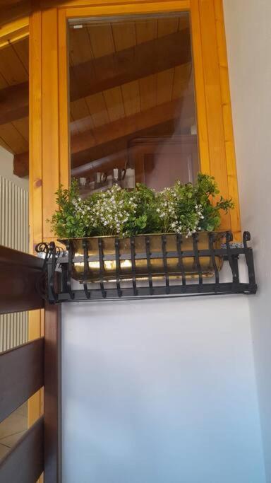 Casa Mario - One-Bedroom Apartment with Balcony and Mountain View - 6