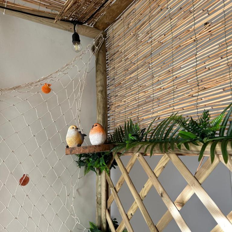 La Casa Delle Conchiglie - Two-Bedroom House - 72