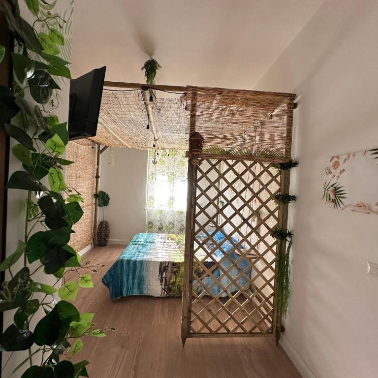 La Casa Delle Conchiglie - Two-Bedroom House - 77