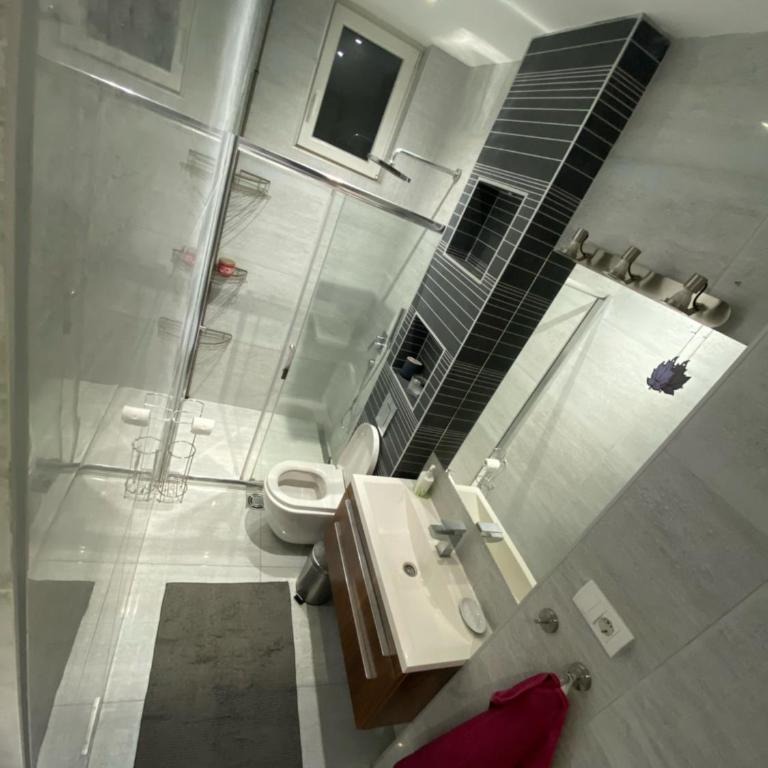 Danube house, Belgrade - Apartman sa 2 Spavaće Sobe - 10