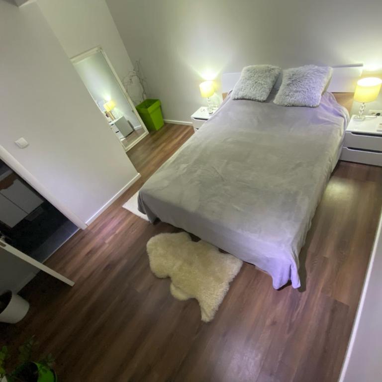 Danube house, Belgrade - Apartman sa 2 Spavaće Sobe - 17