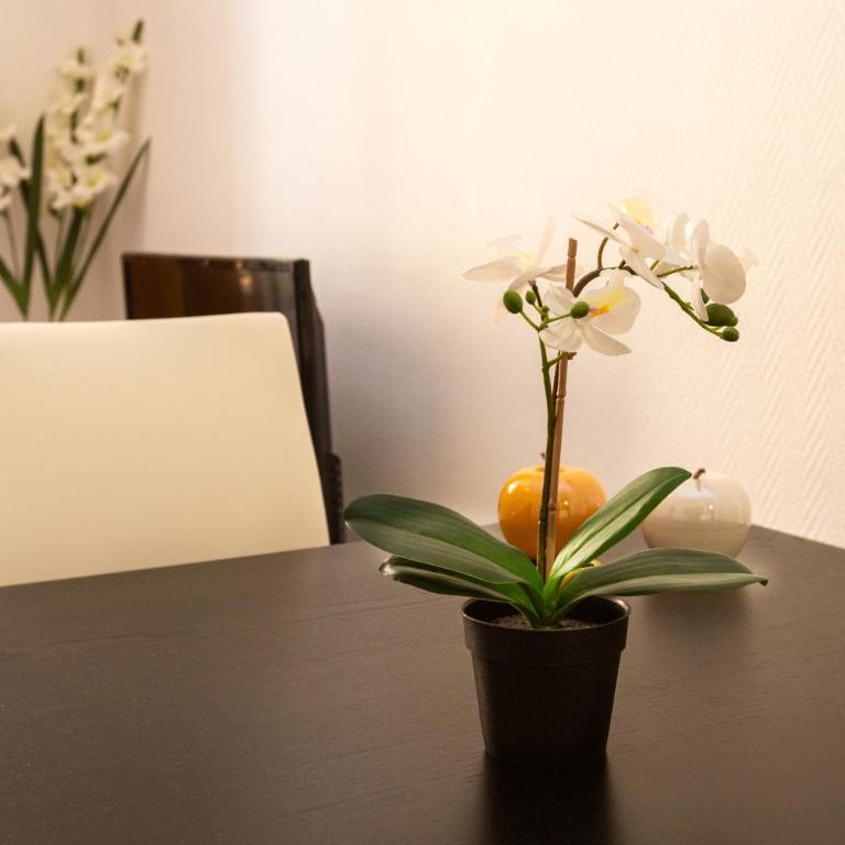Elegant 2 rooms in the heart of Cannes - Apartamento de 1 dormitorio - 13