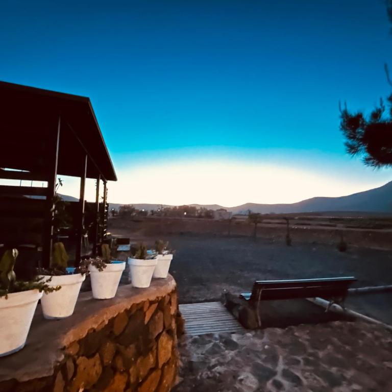 Erbania Heritage, naturally - Apartamento de 1 dormitorio - 24
